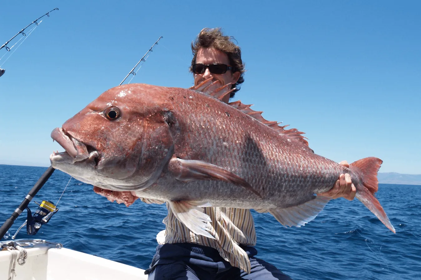 Jigging Fishing · Alvor, Algarve